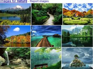 Nature's landscape